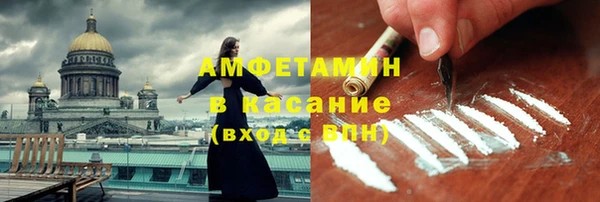 прущие грибы Куйбышев