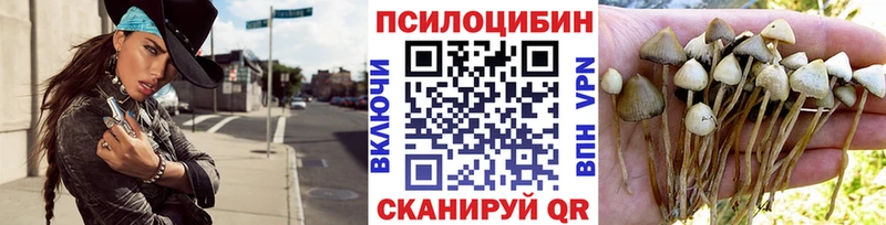Купить  Кувандык  Галлюциногенные грибы MAGIC MUSHROOMS 